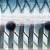 Sardine